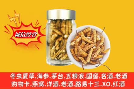 大连中山区回收散虫草