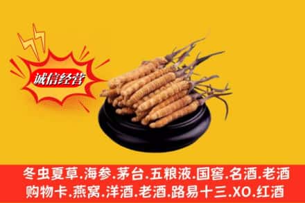 大连中山区求购回收虫草多少钱每克